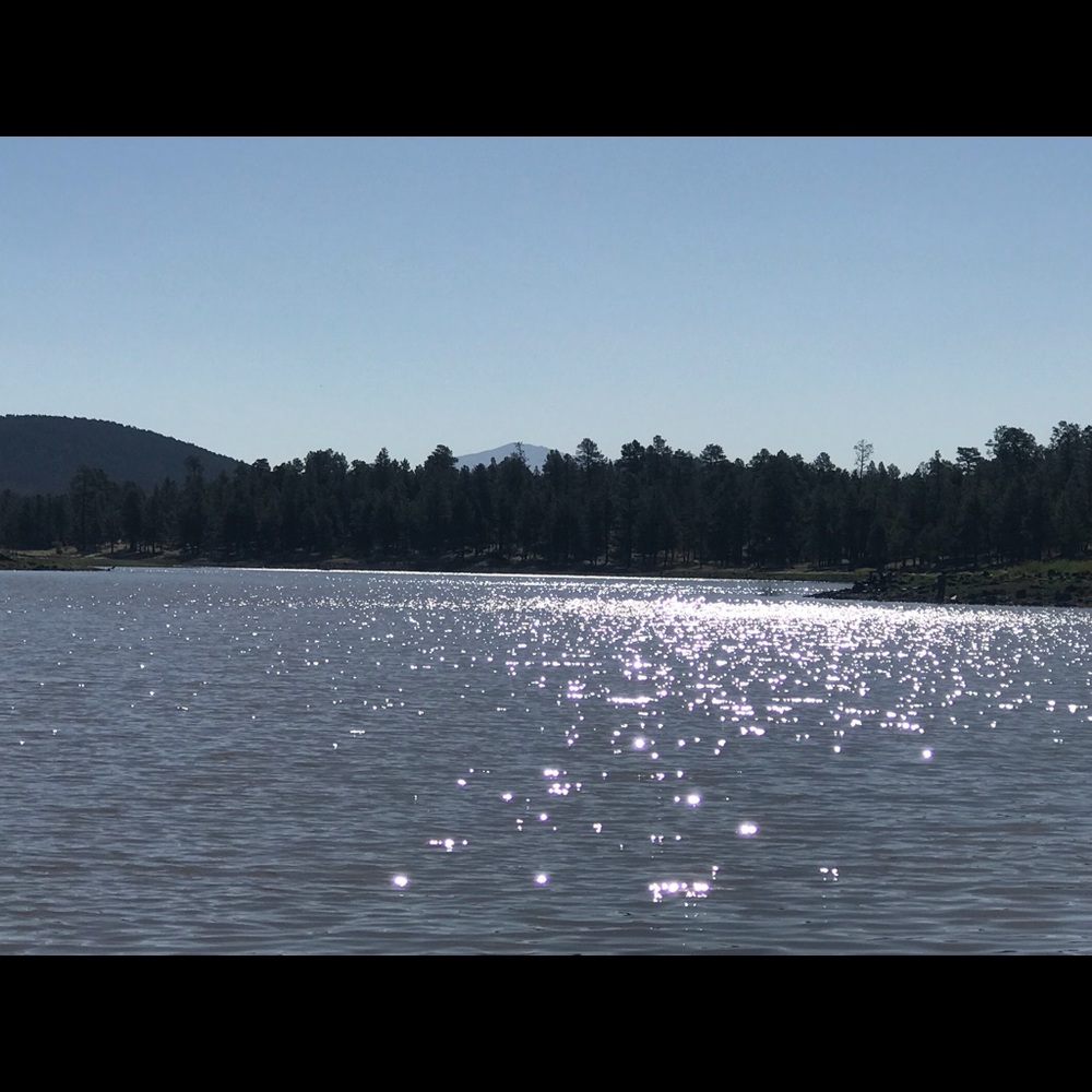 Meet your Posher, Steph